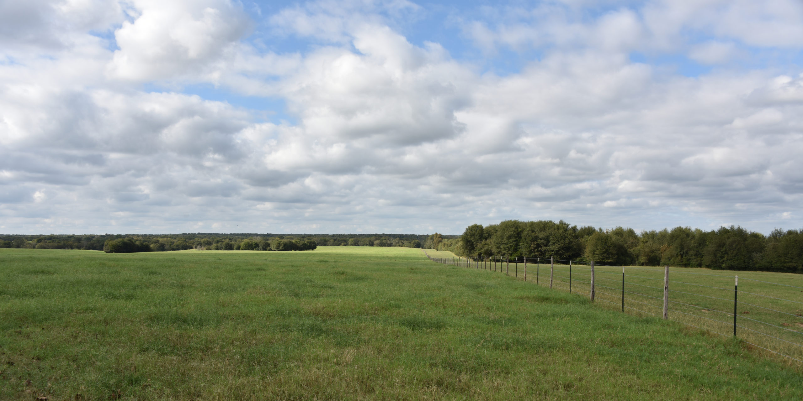 A Real Texas Ranch Experience in Central Texas | Sellmark Ranch