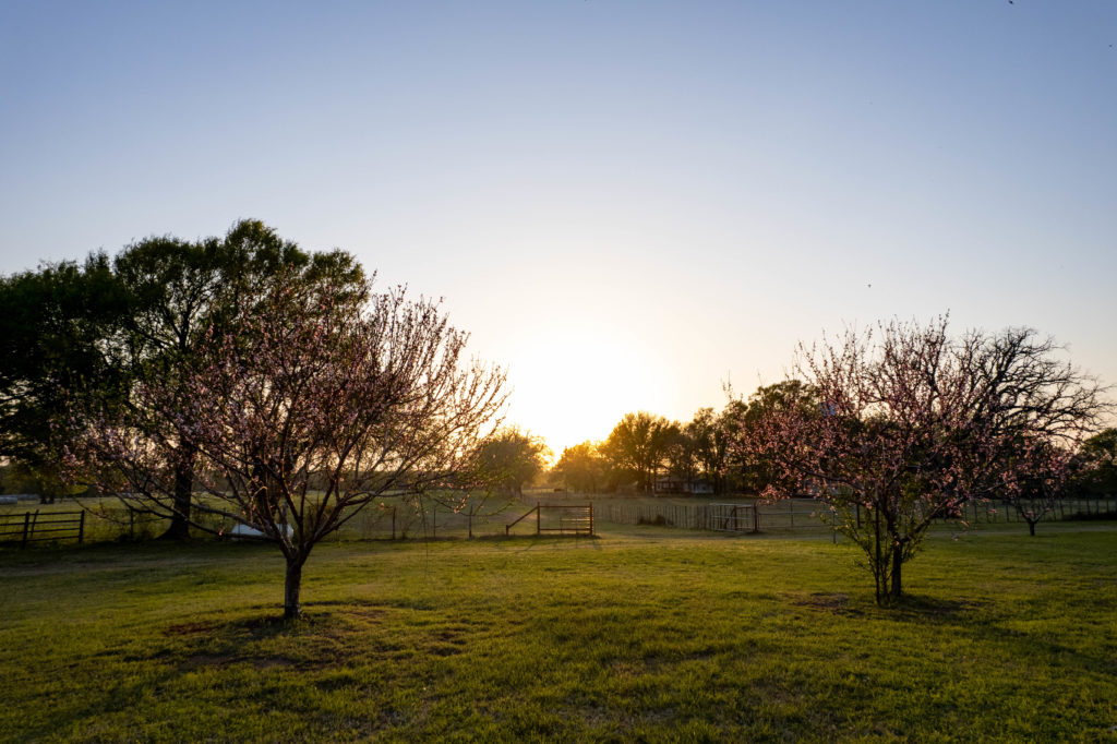 A Real Texas Ranch Experience in Central Texas | Sellmark Ranch