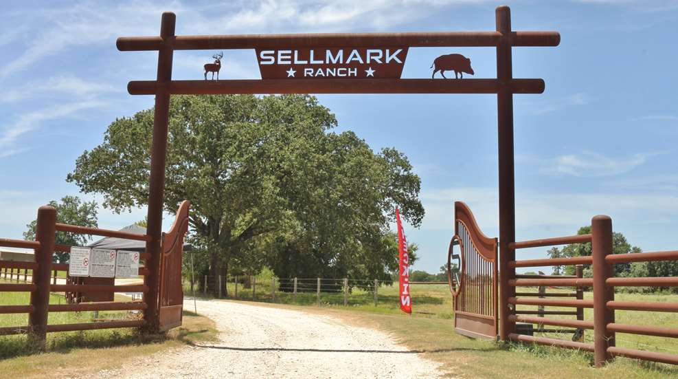 Media - Sellmark Ranch